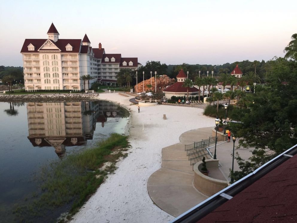 Alligator Kills 2-Year Old Boy At Disney World