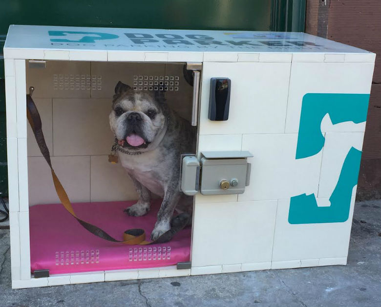 NYC Dog Owners Just Got Something To Get Excited About
