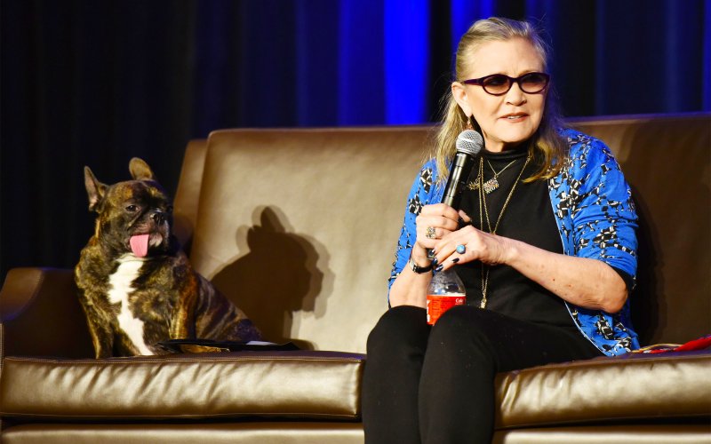 Carrie Fisher’s Dog Finally Gets A New Home
