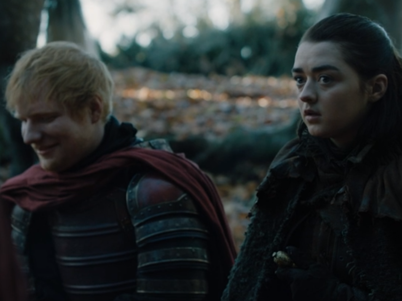 Did Ed Sheeran Quit Twitter Over His Game Of Thrones Cameo Wall