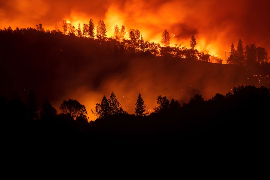 “Overwhelming” Evidence Links PG&E to Deadly California Fire