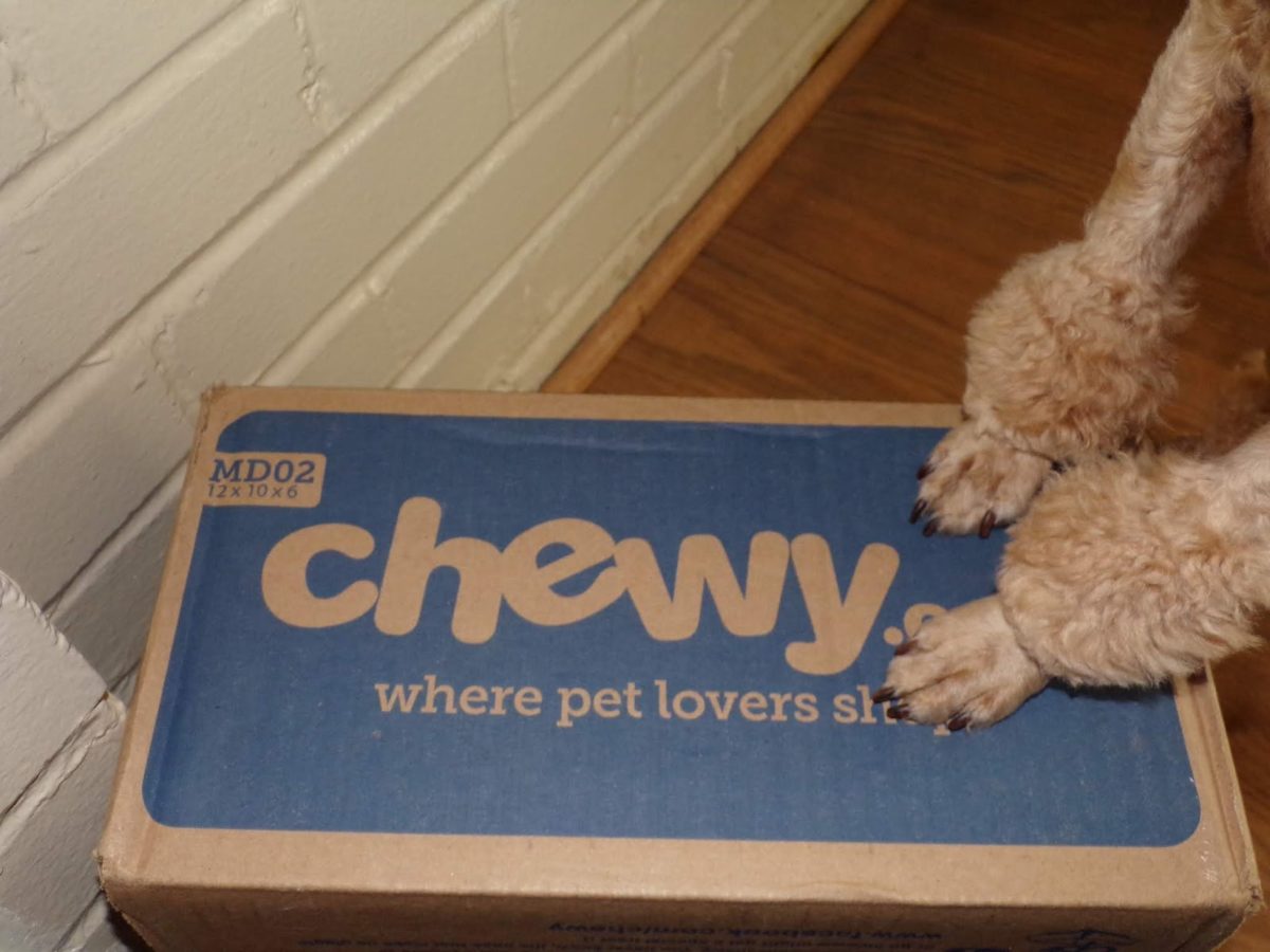 Chewy Releases First Financial Results Since Market Debut