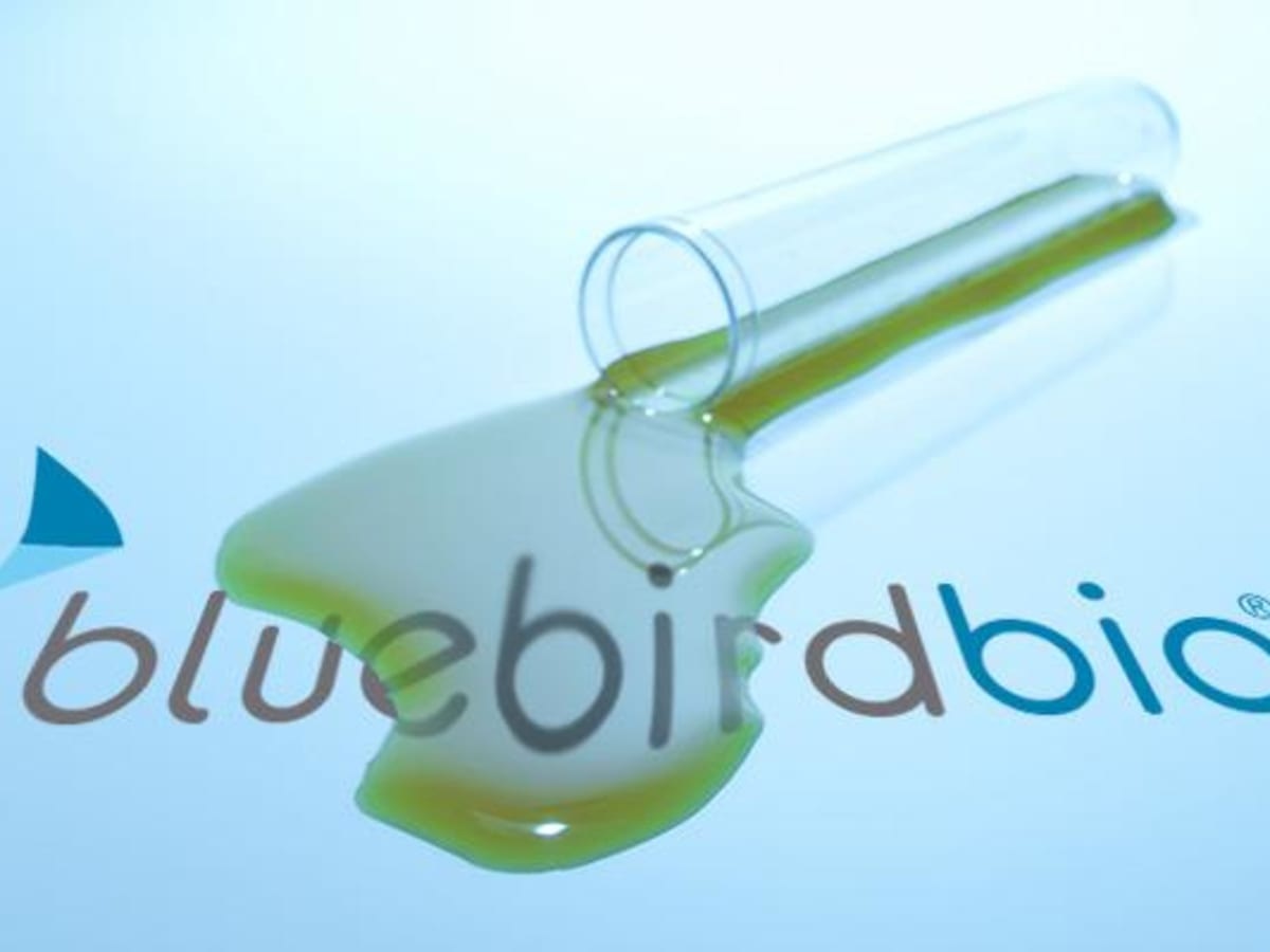 Bluebird Bio Is Spinning Off Its Oncology Business