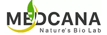 Software Effective Solutions Corporation Announces Acquisition of MedCana, Inc. and Appoints Jose Gabriel Diaz as New Chief Operating Officer and Director