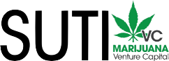NFT and blockchain creation, new Cryptocurrency, and new business Developments