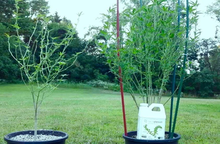DIGITAL UTILITIES VENTURES, INC ANNOUNCES THE ACQUISITION OF FEED EARTH NOW, LLC.