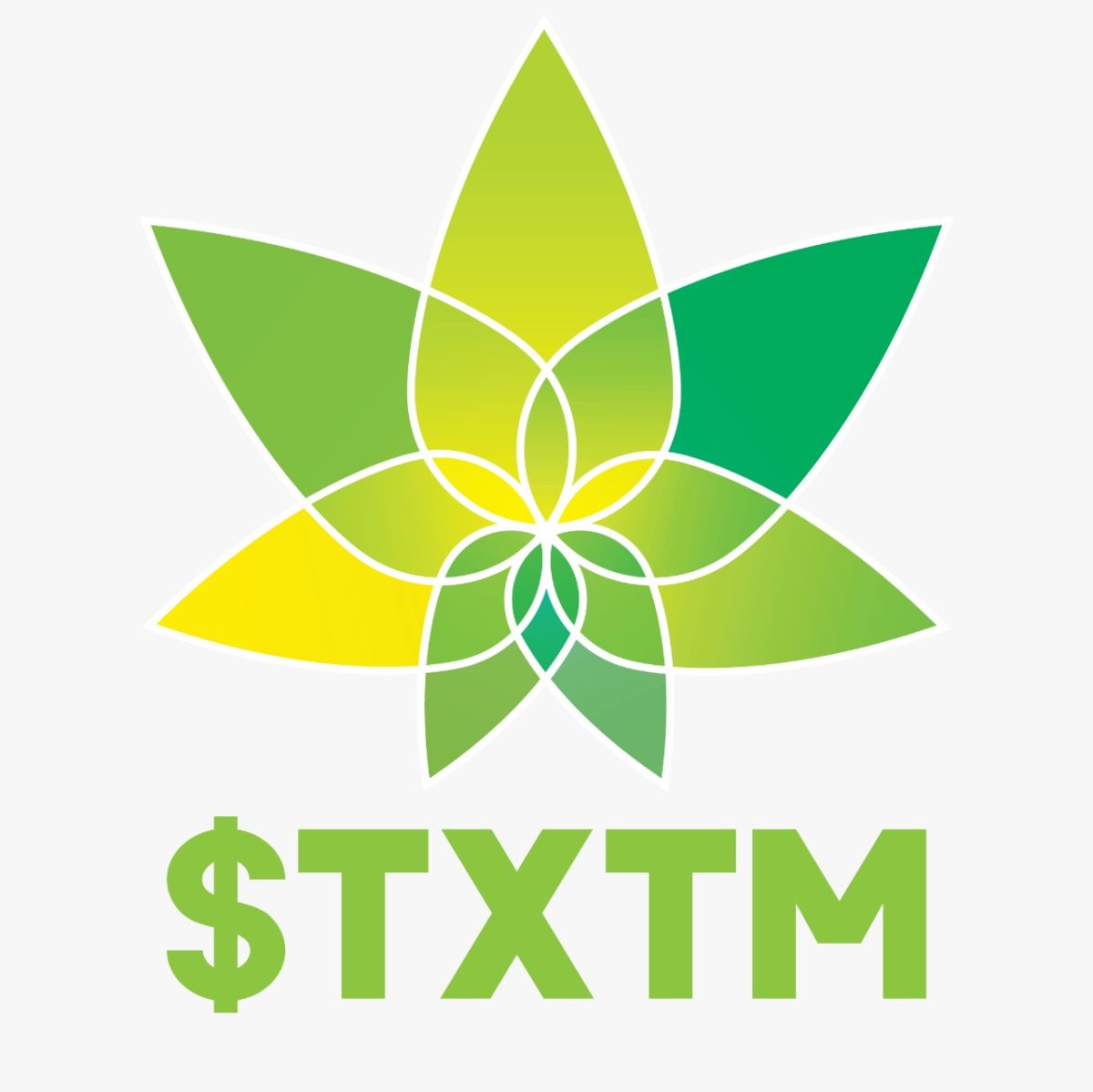 RSAMMD ACQUISITIONS LLC AND PROTEXT MOBILITY, INC. (TXTM) PROVIDE SHAREHOLDERS UPDATE AND NEAR TERM ROAD MAP