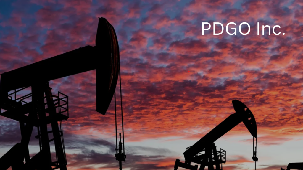 Paradigm Oil & Gas, Inc. (PDGO) Reflects on a Transformative 2024, Poised for Continued Growth in 2025