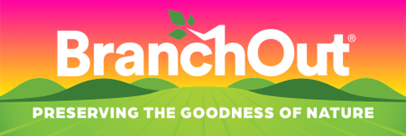 BranchOut Food’s Brussels Sprout Crisps Expand Nationally in the Nation’s Largest Retailer and Launches New Sweet Potato Snack